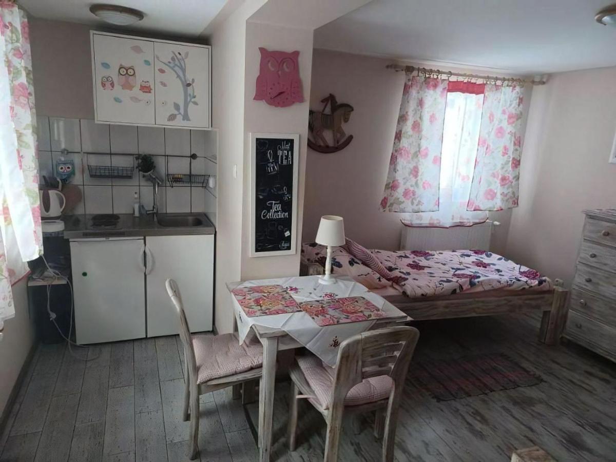 Apartament Cztery Pory Roku Jezow Sudecki Zewnętrze zdjęcie