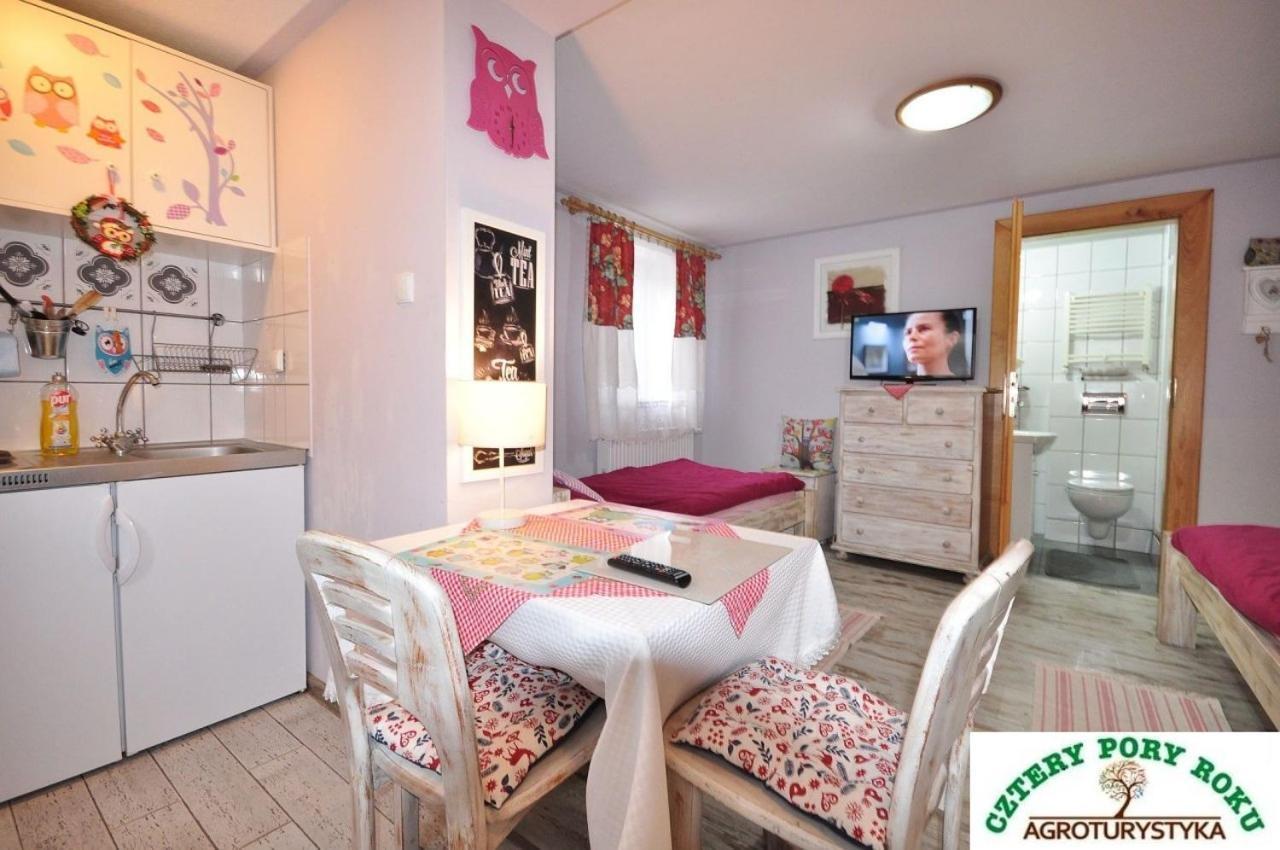 Apartament Cztery Pory Roku Jezow Sudecki Zewnętrze zdjęcie