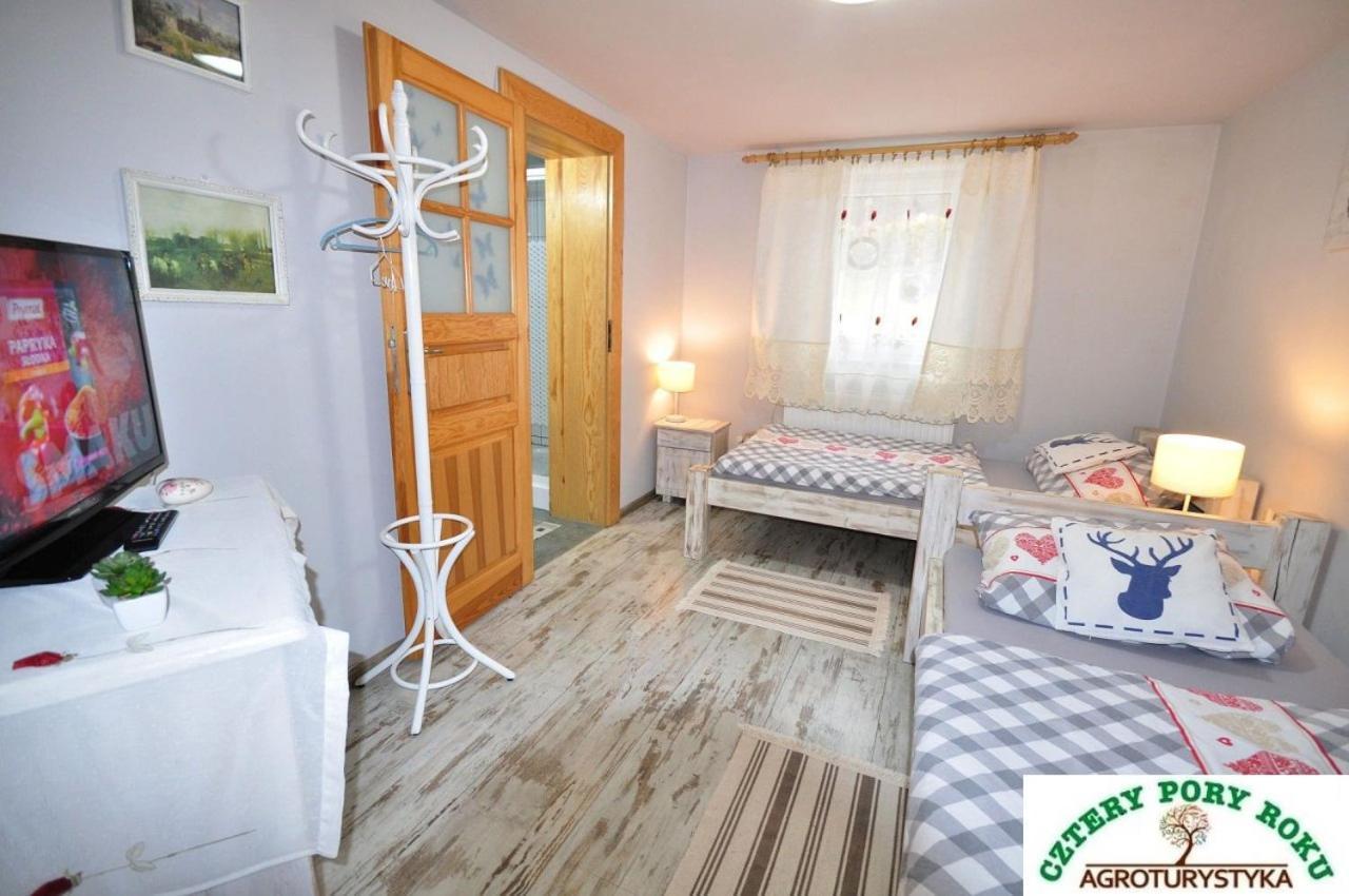 Apartament Cztery Pory Roku Jezow Sudecki Zewnętrze zdjęcie